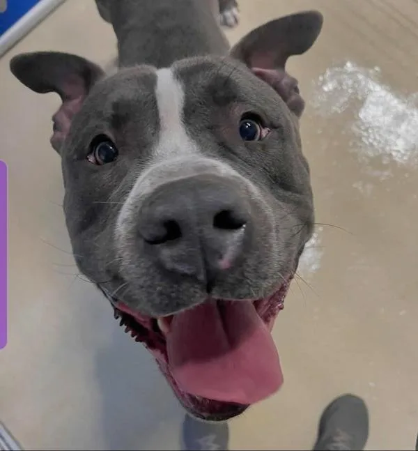 Lil Baby Lou thumbnail 2