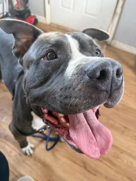 Lil Baby Lou thumbnail 3