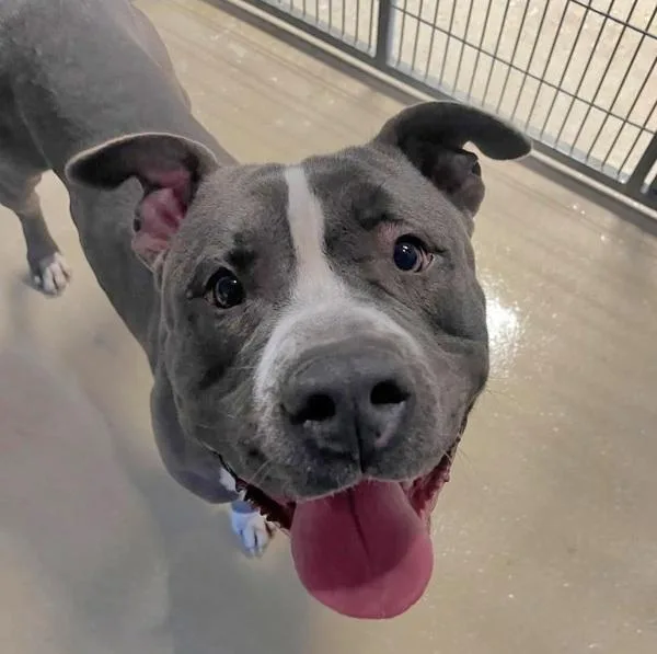 Lil Baby Lou thumbnail 5