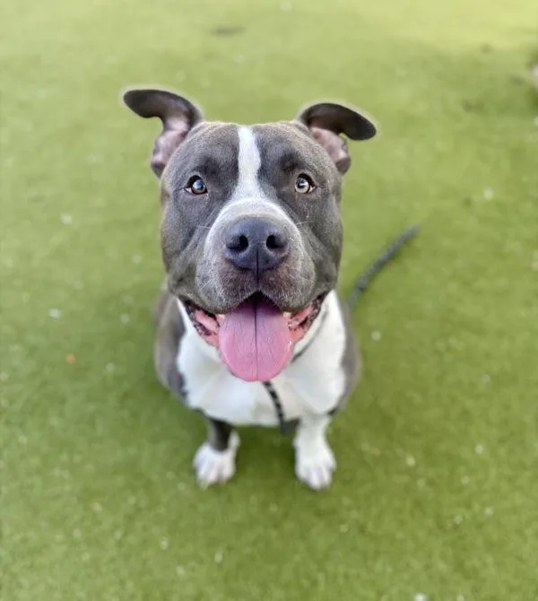 Lil Baby Lou thumbnail 6