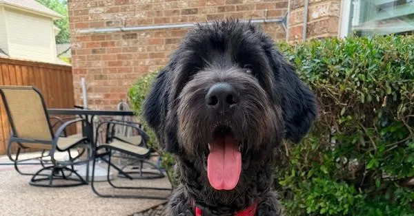 Bentley