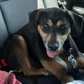 Daisy Mae thumbnail 5