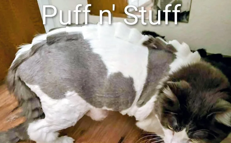 Boomerang and Puff n' thumbnail 2