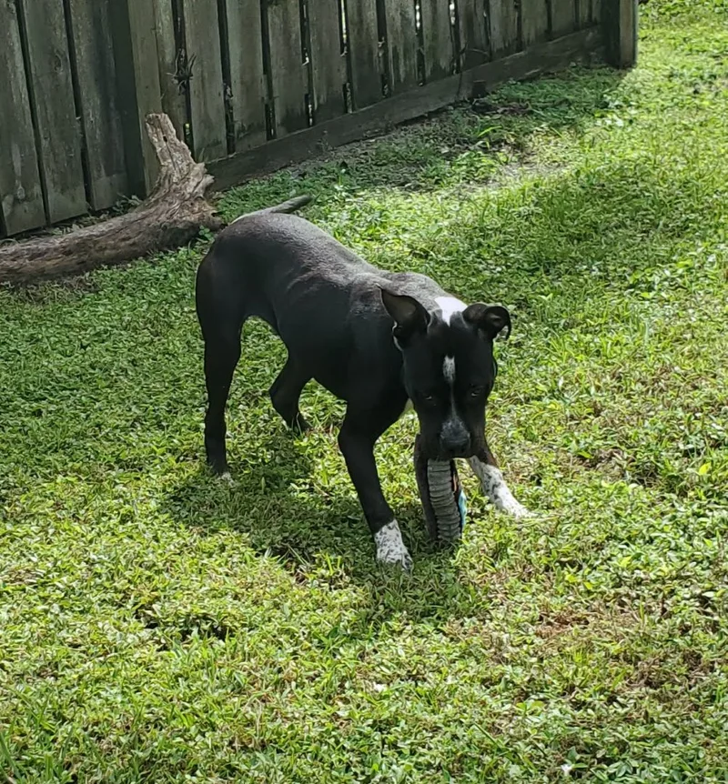 Loochi  Please Read thumbnail 2