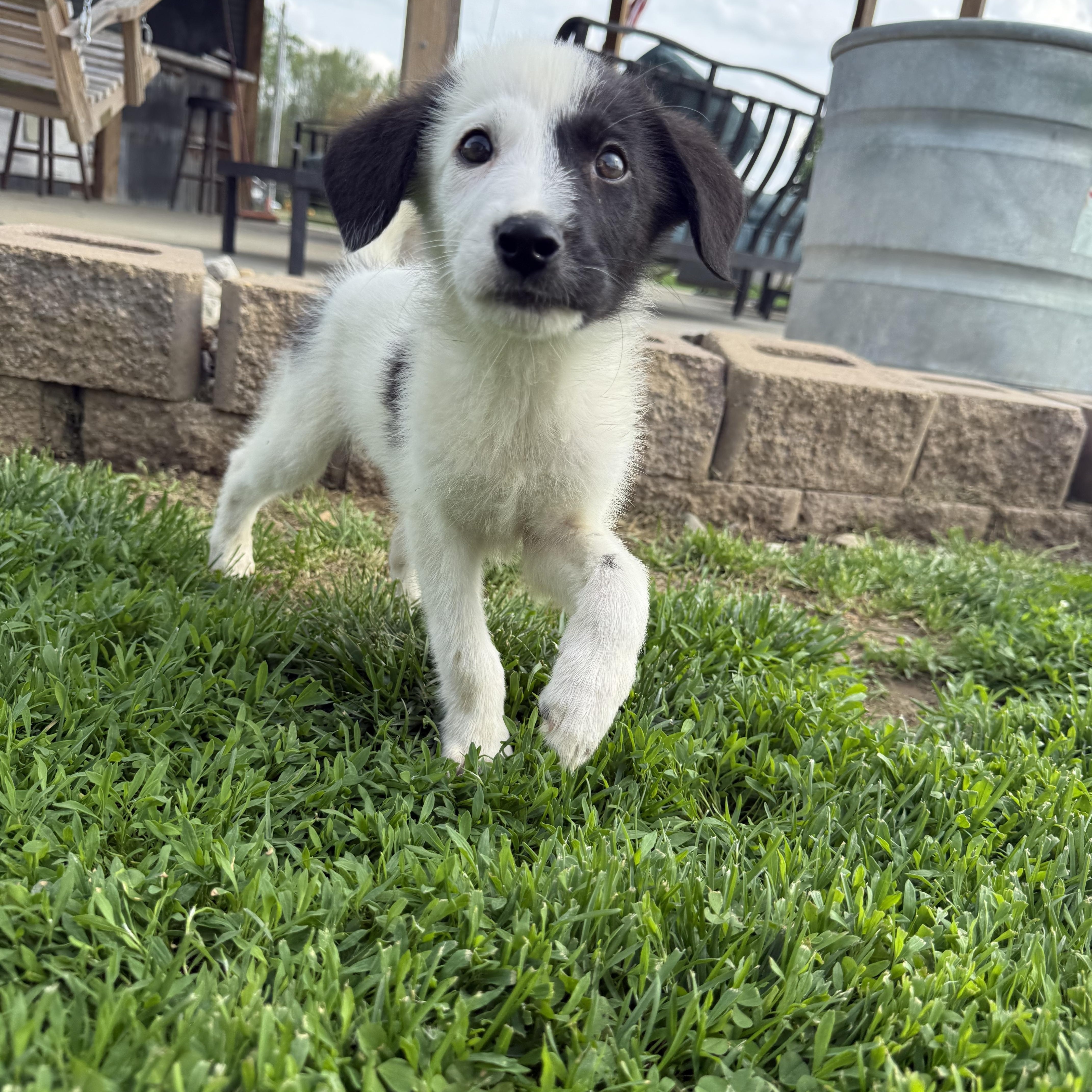 Doc happy bashful dopey thumbnail 2