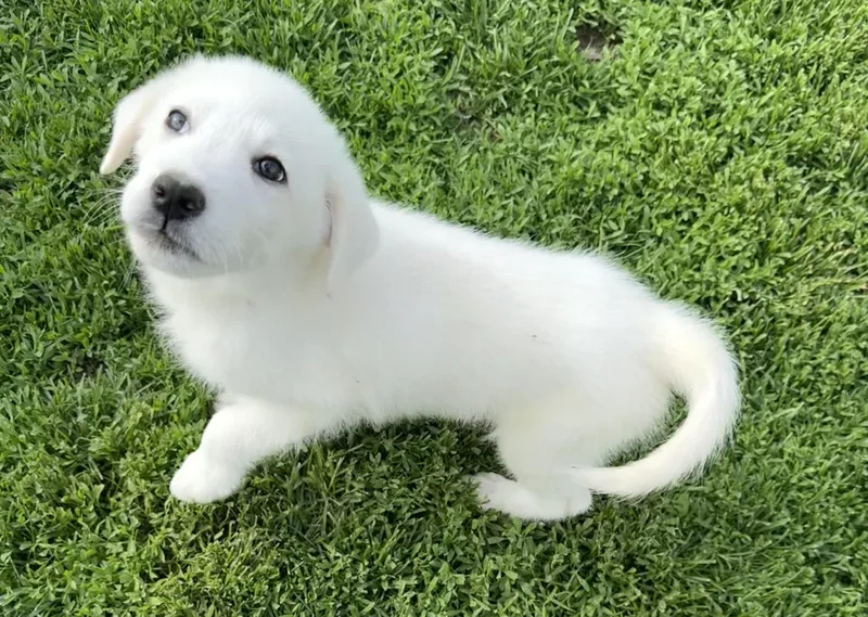 Doc happy bashful dopey thumbnail 4