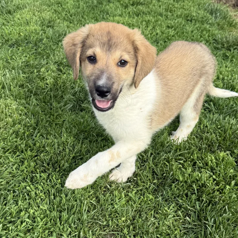 Doc happy bashful dopey thumbnail 5