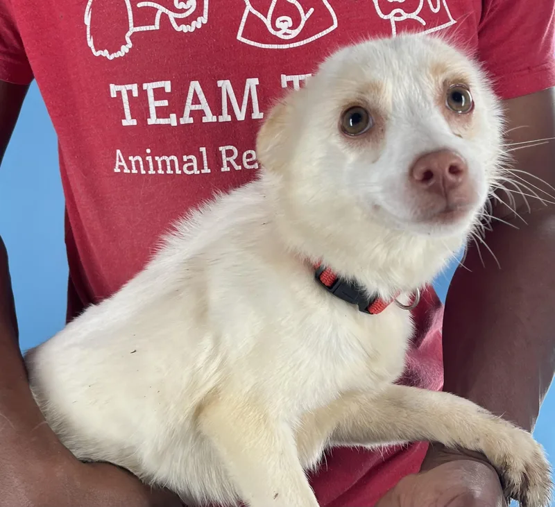 Caspin  Local April thumbnail 5