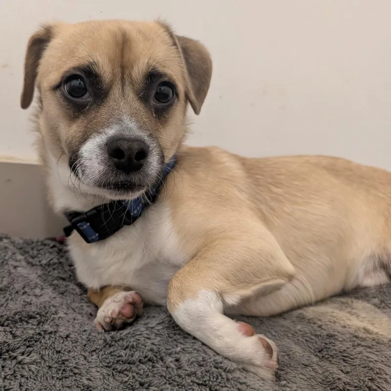 Terrence  City Of thumbnail 2