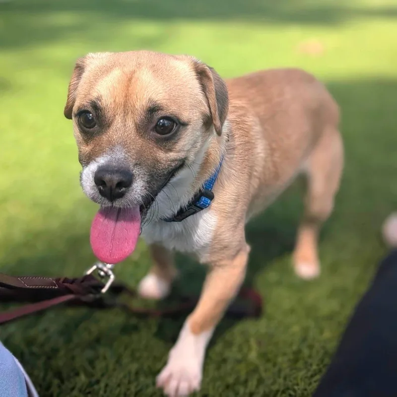 Terrence  City Of thumbnail 3