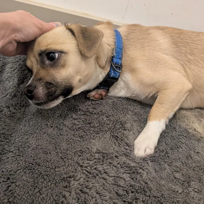 Terrence  City Of thumbnail 4