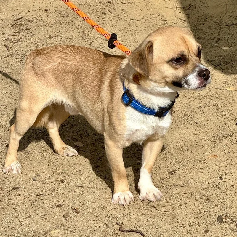 Terrence  City Of thumbnail 5