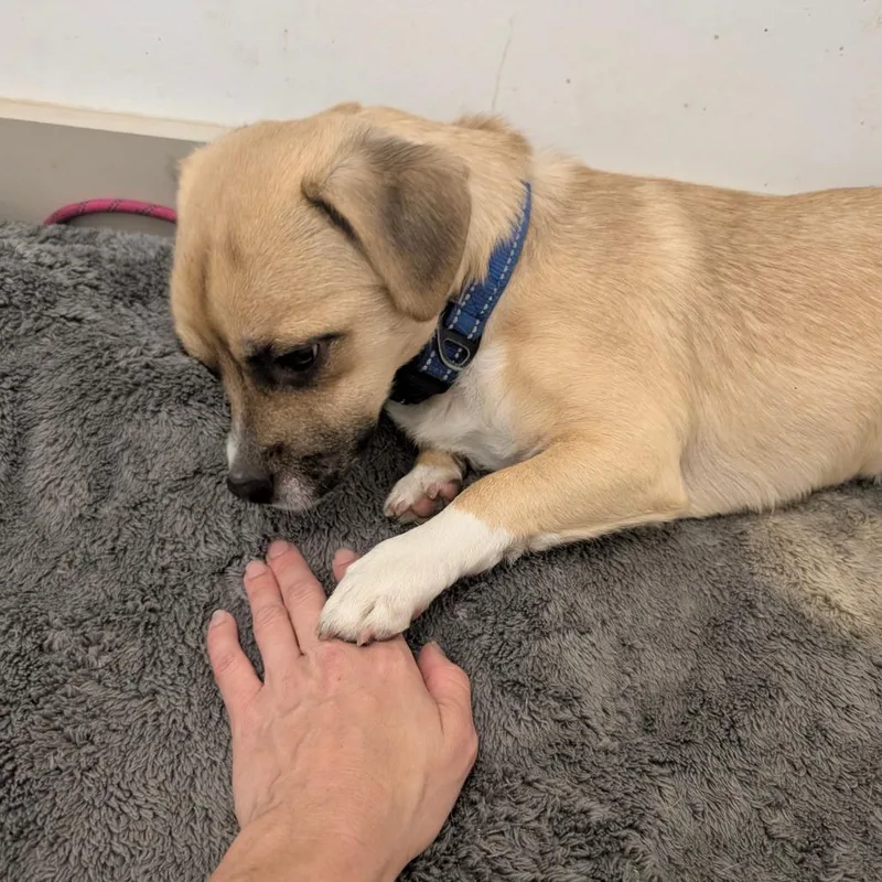 Terrence  City Of thumbnail 6