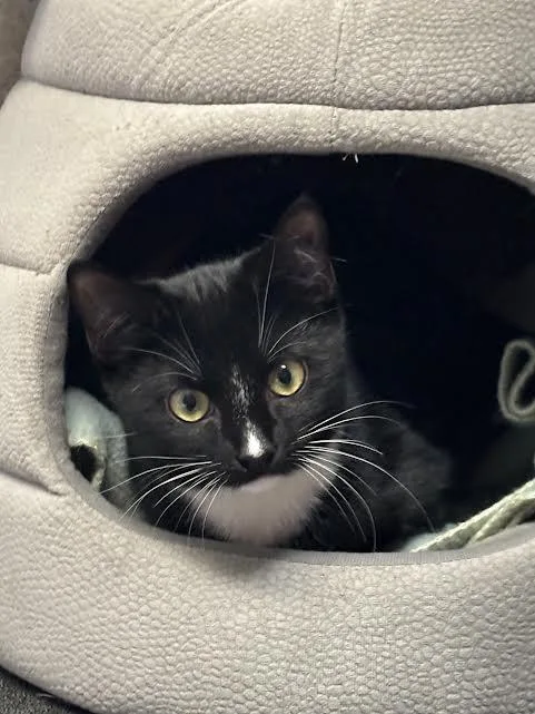 Dusty Bottoms And Carmen thumbnail 2