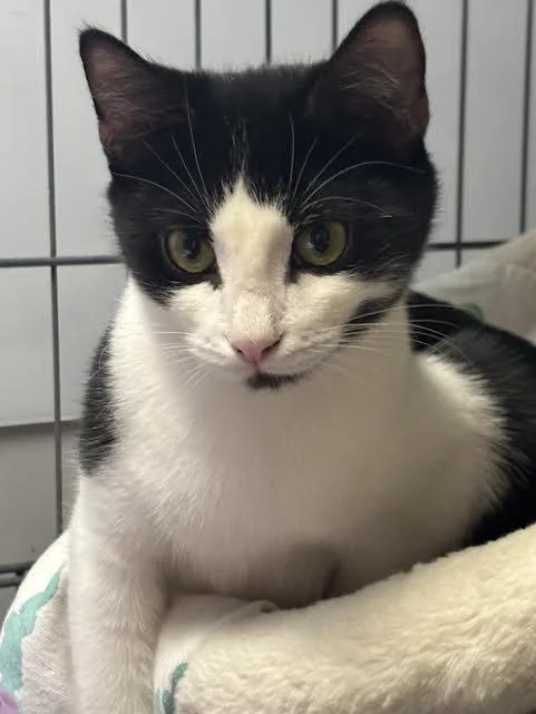 Dusty Bottoms And Carmen thumbnail 4