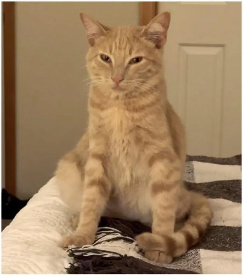 Charlie thumbnail 2