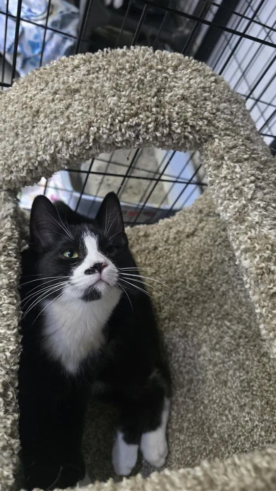 Yosemite thumbnail 2