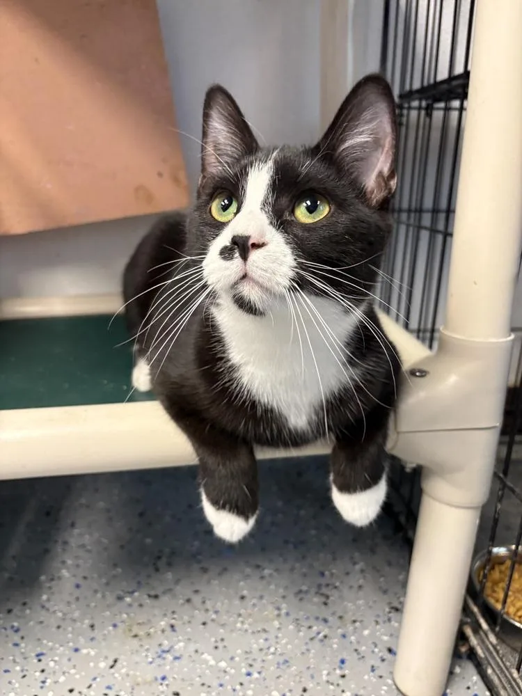 Yosemite thumbnail 3