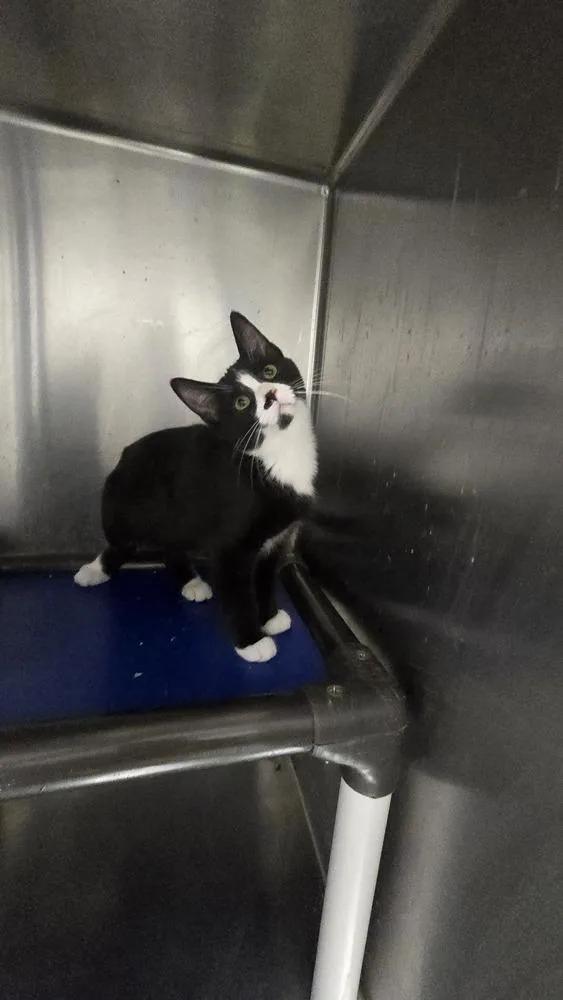 Yosemite thumbnail 4