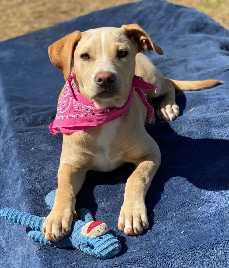 Samantha thumbnail 2