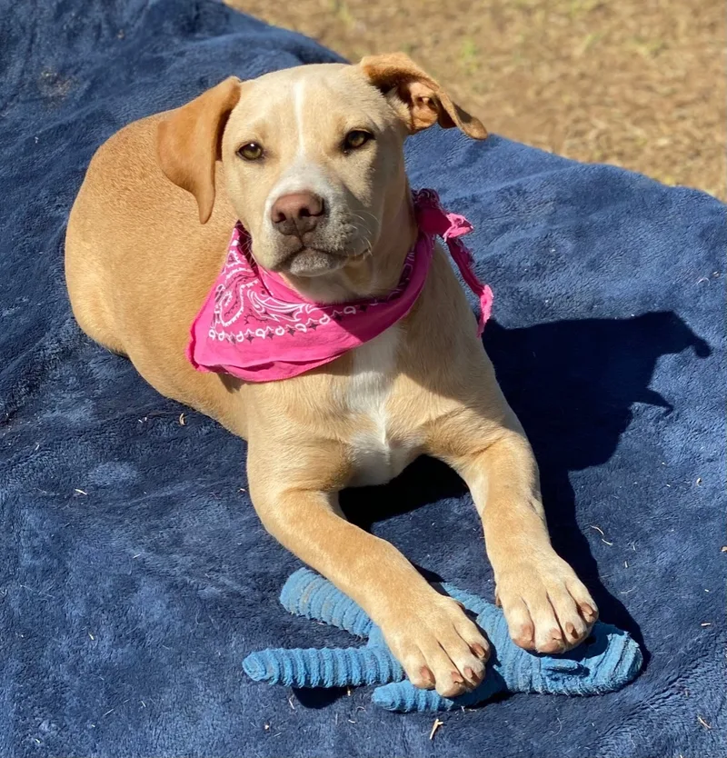 Samantha thumbnail 3