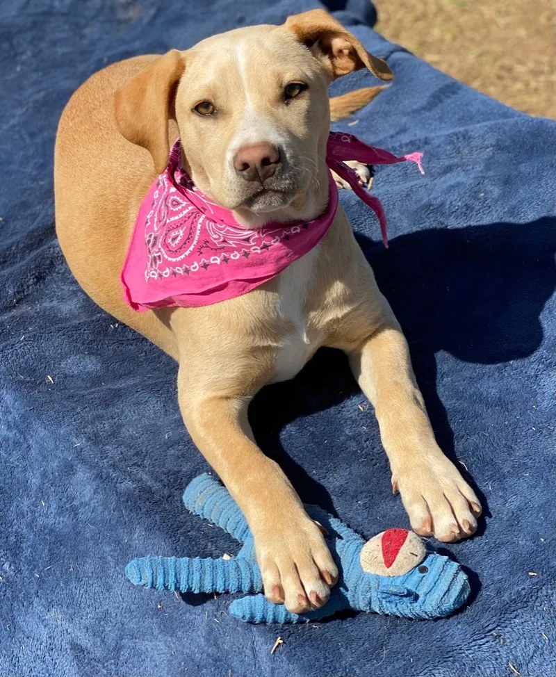 Samantha thumbnail 4