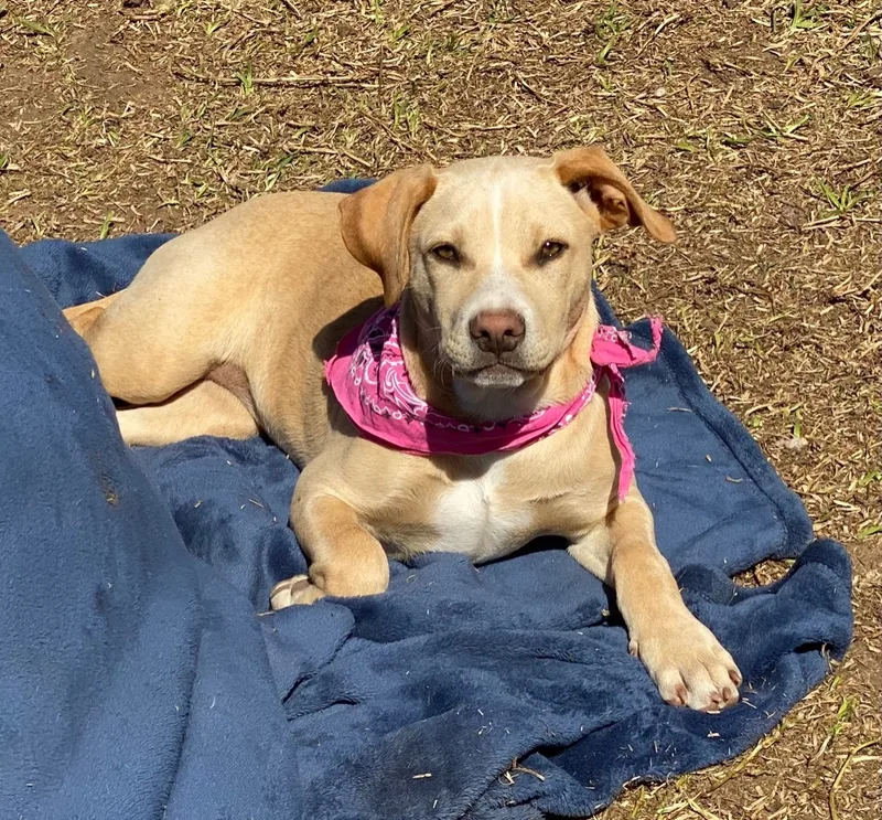 Samantha thumbnail 5