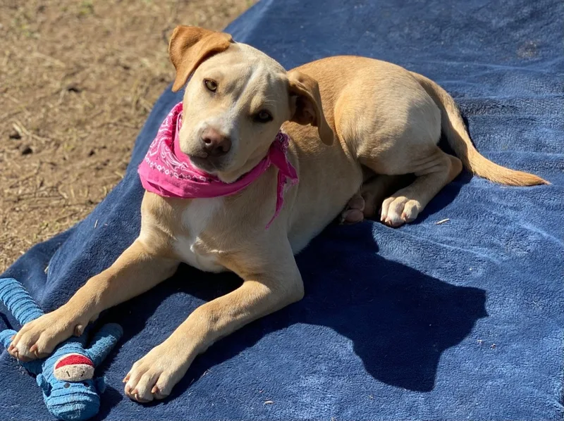 Samantha thumbnail 6