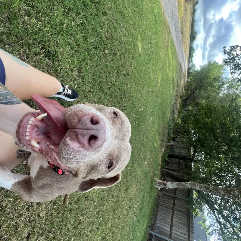 Layla thumbnail 2