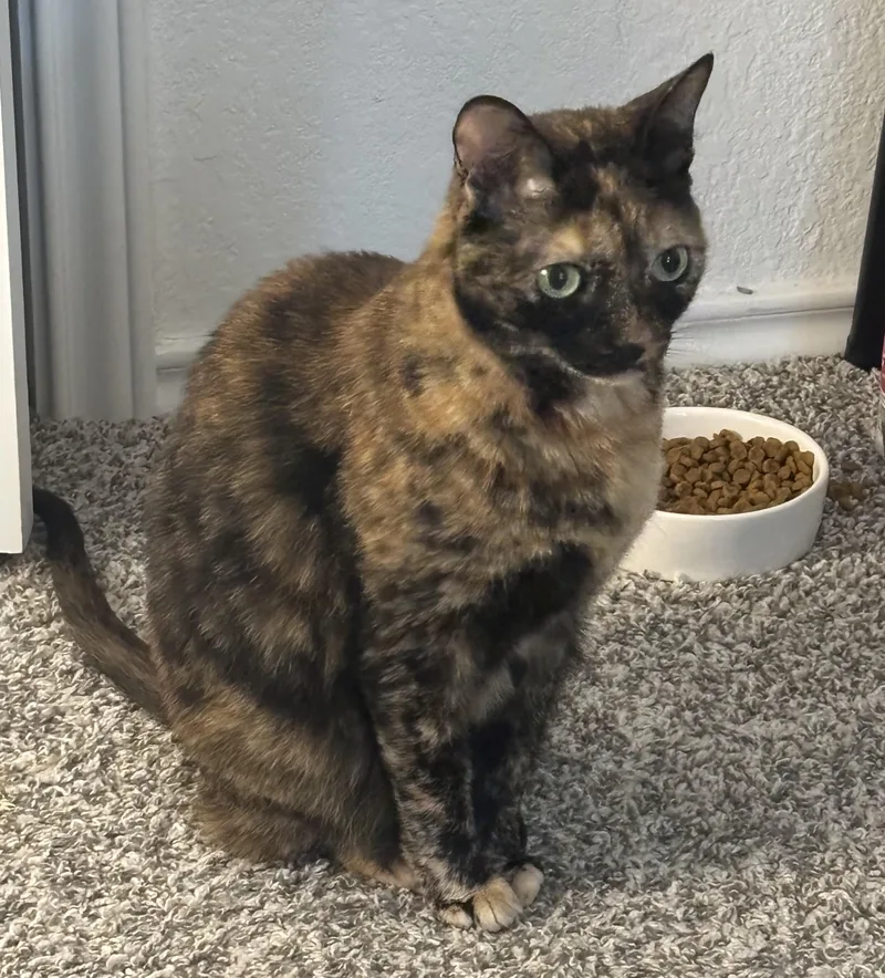 Mollysue Wat thumbnail 2