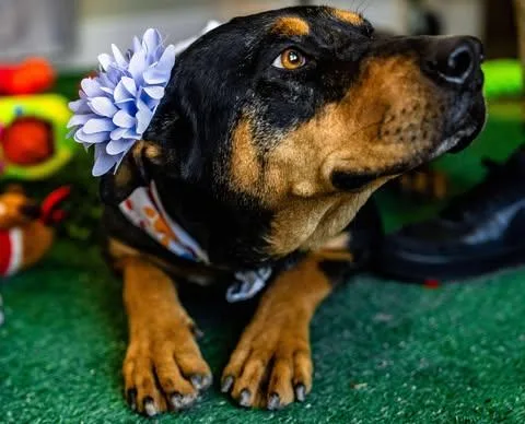 Michelle thumbnail 2