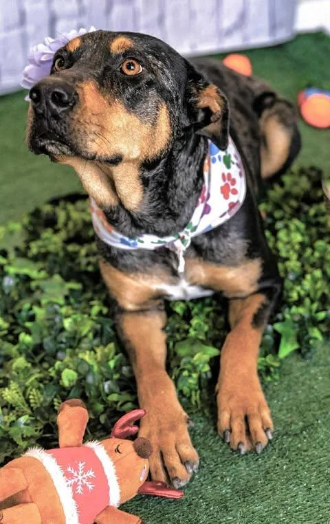 Michelle thumbnail 3