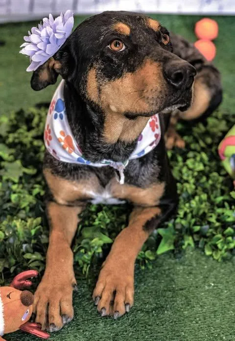 Michelle thumbnail 4