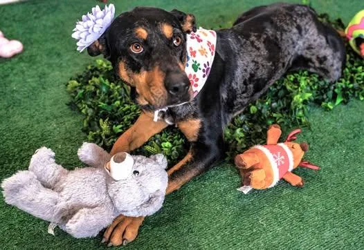 Michelle thumbnail 5