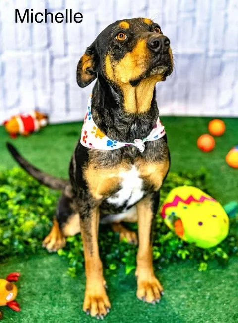 Michelle thumbnail 6