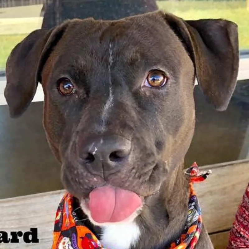 Stephen Jr thumbnail 2