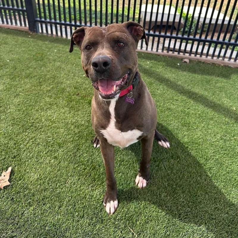 Stephen Jr thumbnail 3