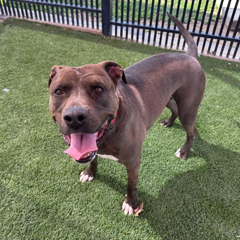 Stephen Jr thumbnail 5