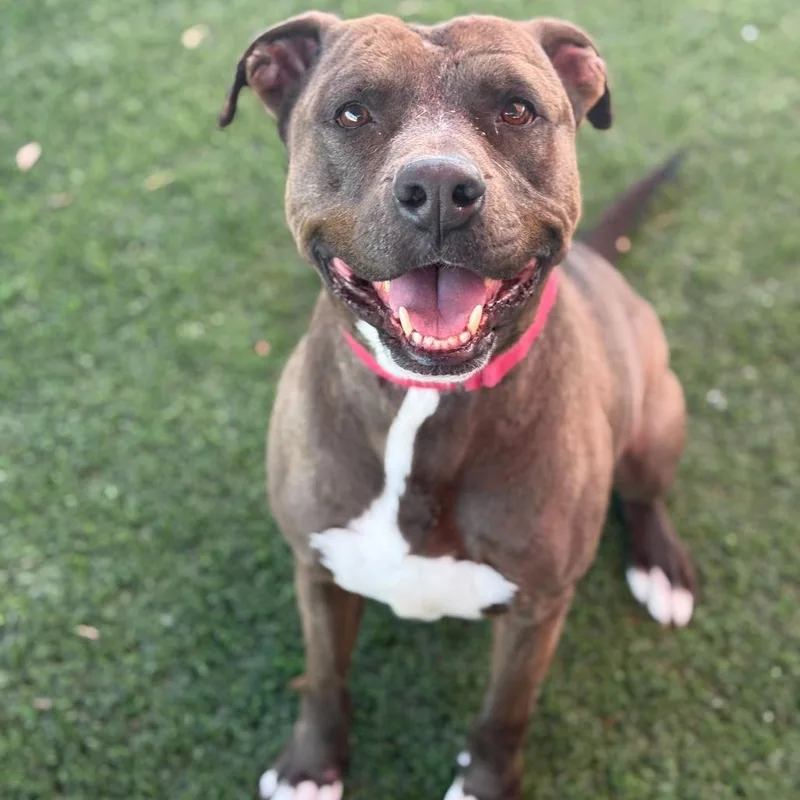 Stephen Jr thumbnail 6