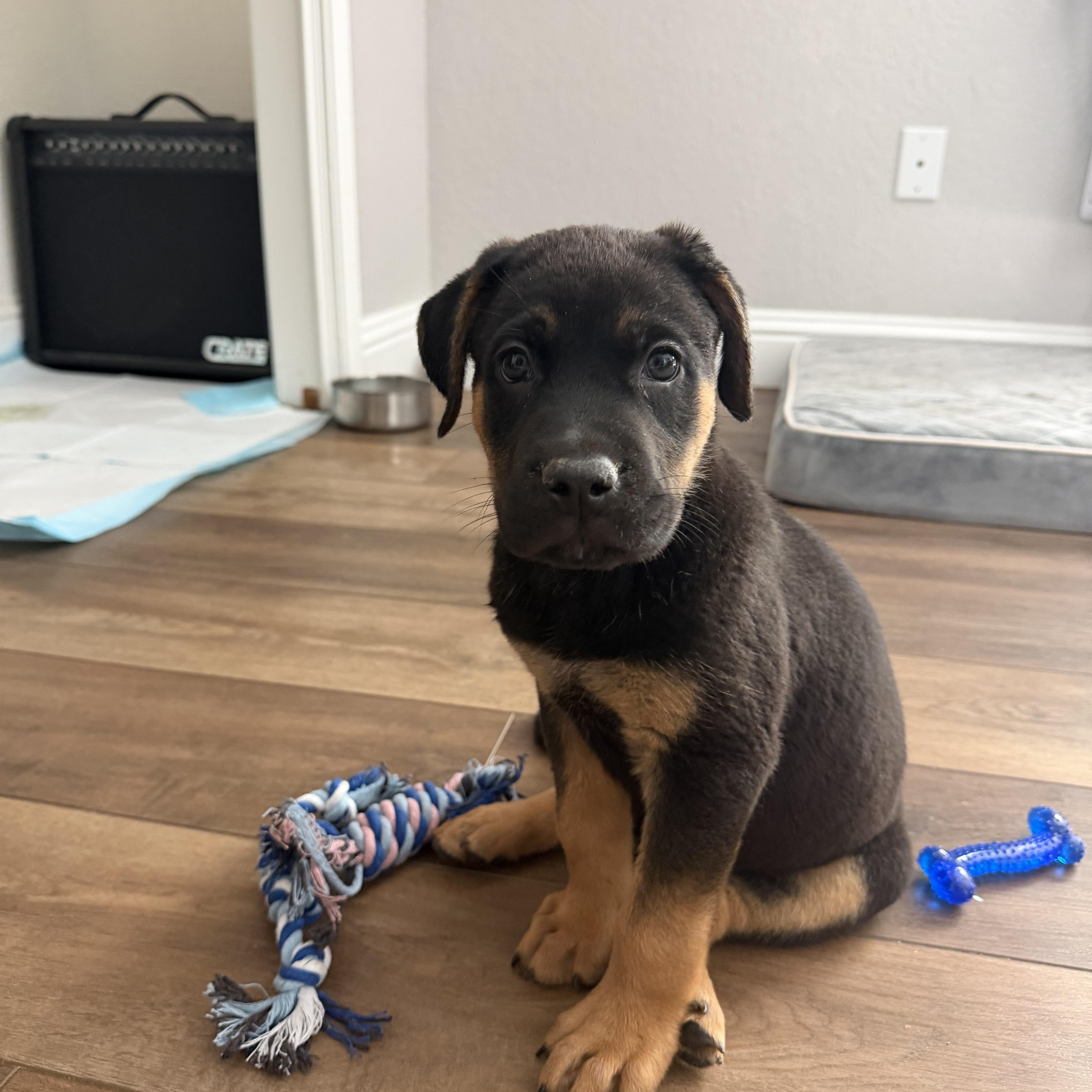 Titus