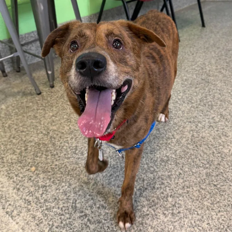 Anthony thumbnail 4