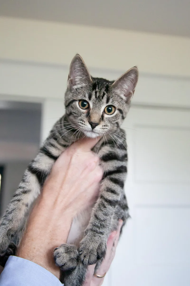 Benito