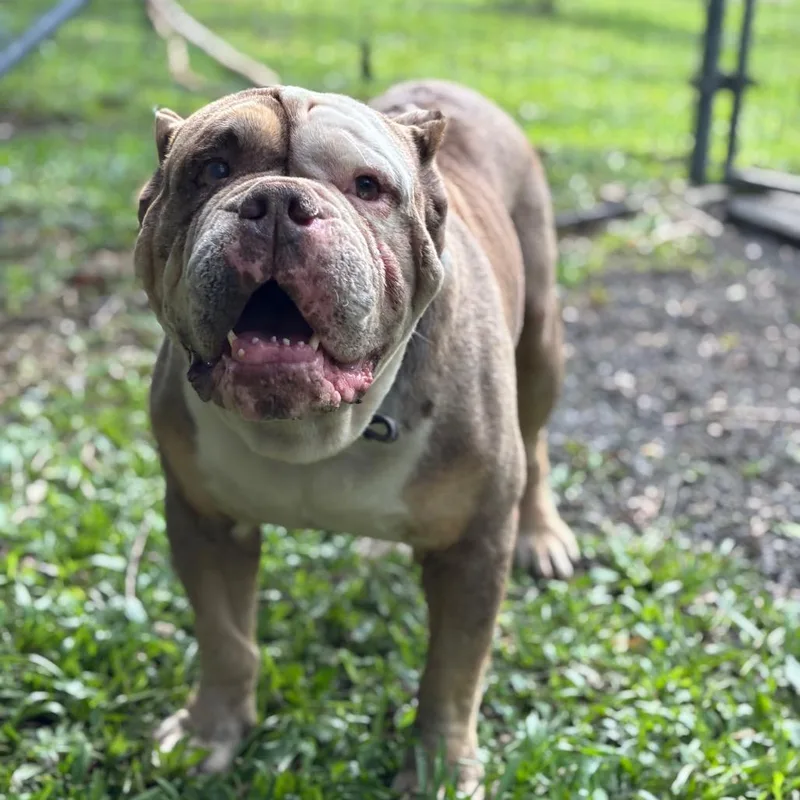 Master Piece thumbnail 2