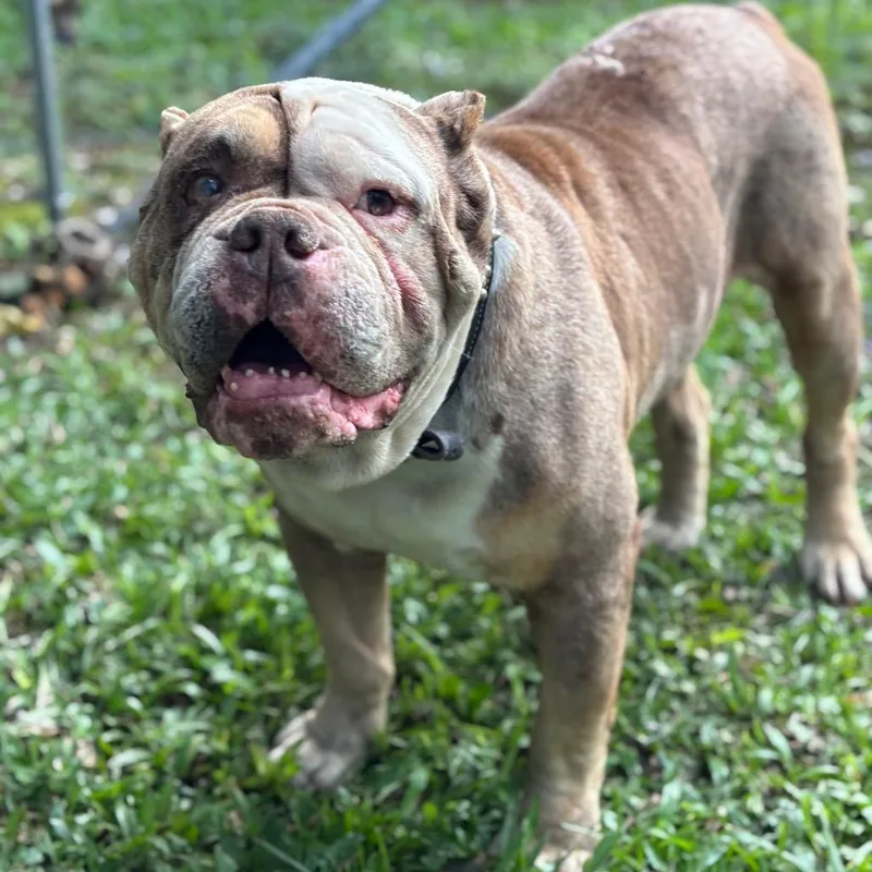 Master Piece thumbnail 3