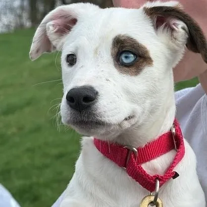 Jyn Erso thumbnail 2