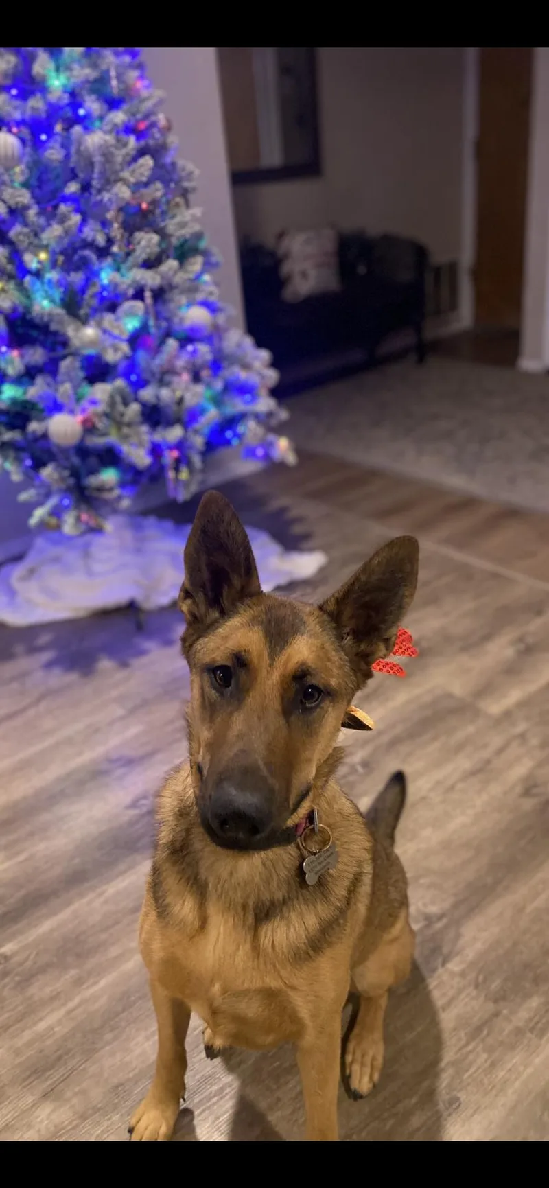 Maddie Aka Madison thumbnail 2