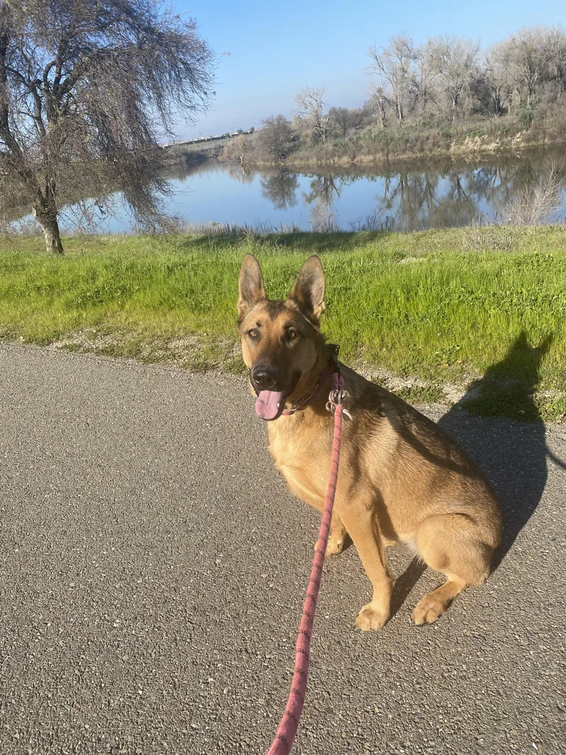 Maddie Aka Madison thumbnail 3