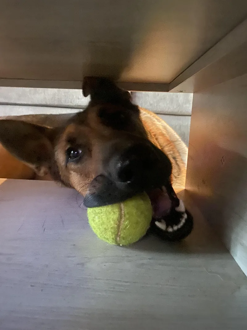 Maddie Aka Madison thumbnail 5