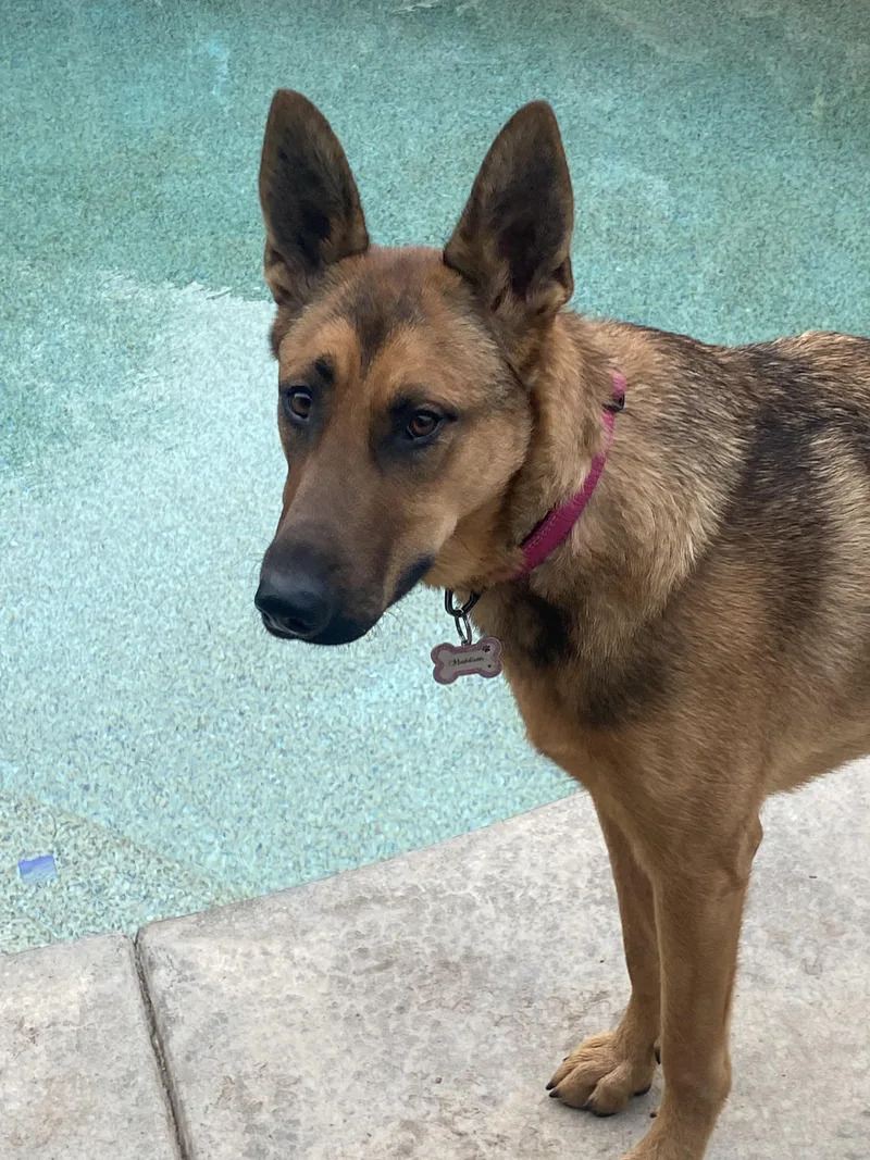 Maddie Aka Madison thumbnail 6