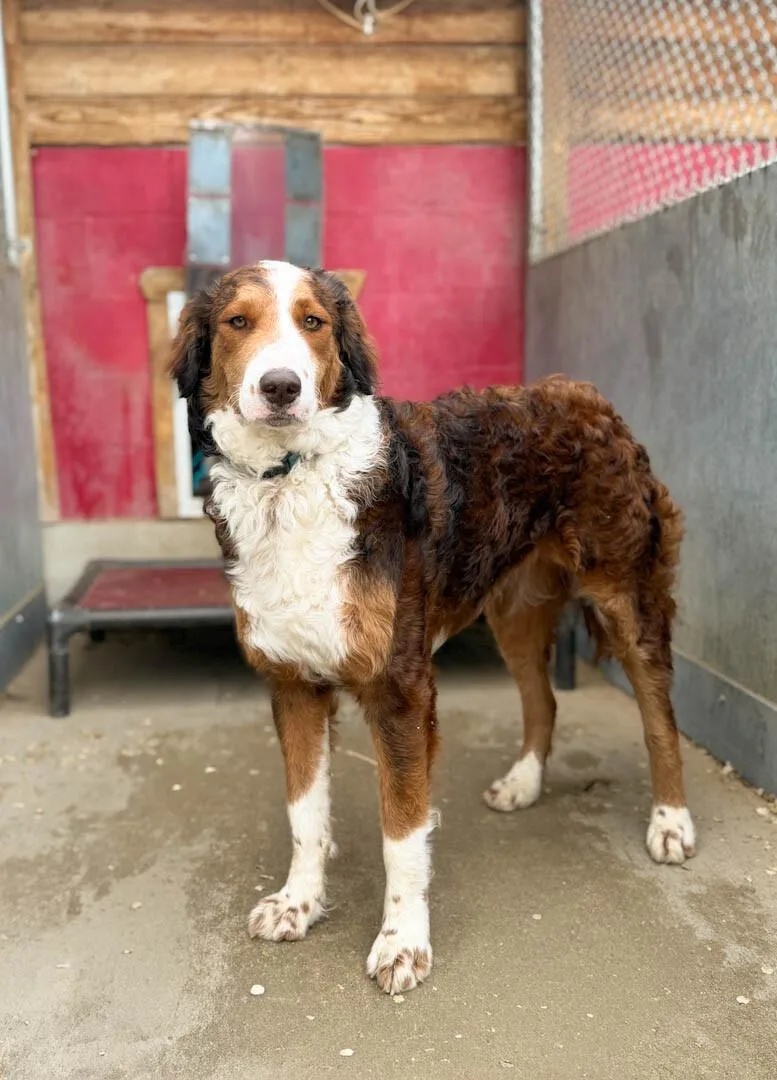 Cleopatra thumbnail 2